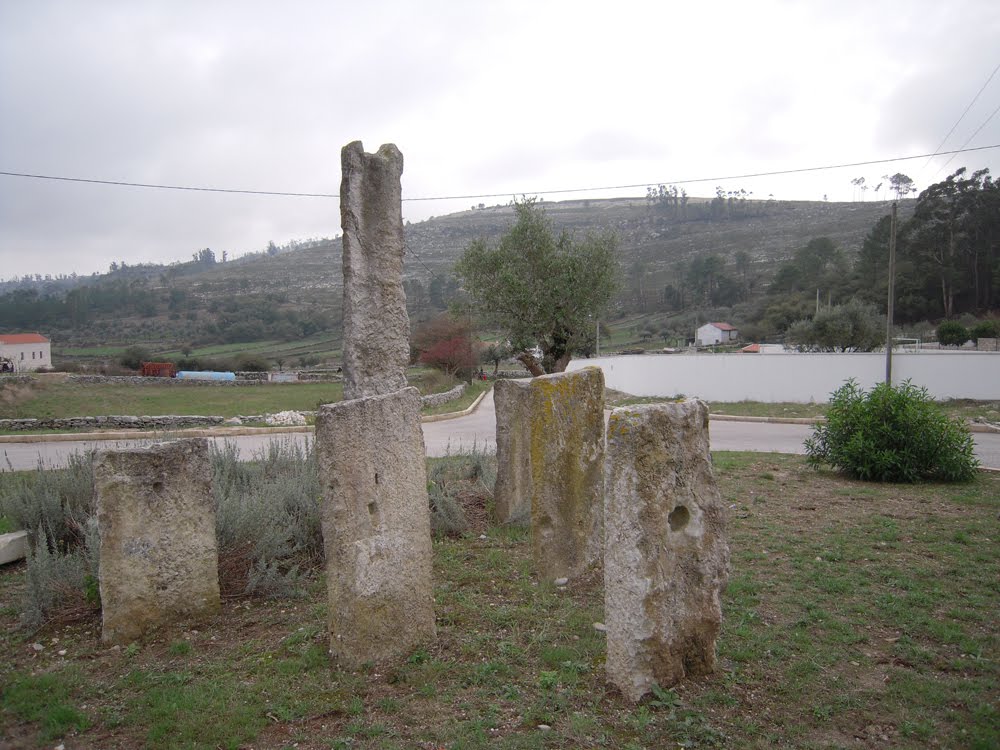 [DSCN1014.jpg]