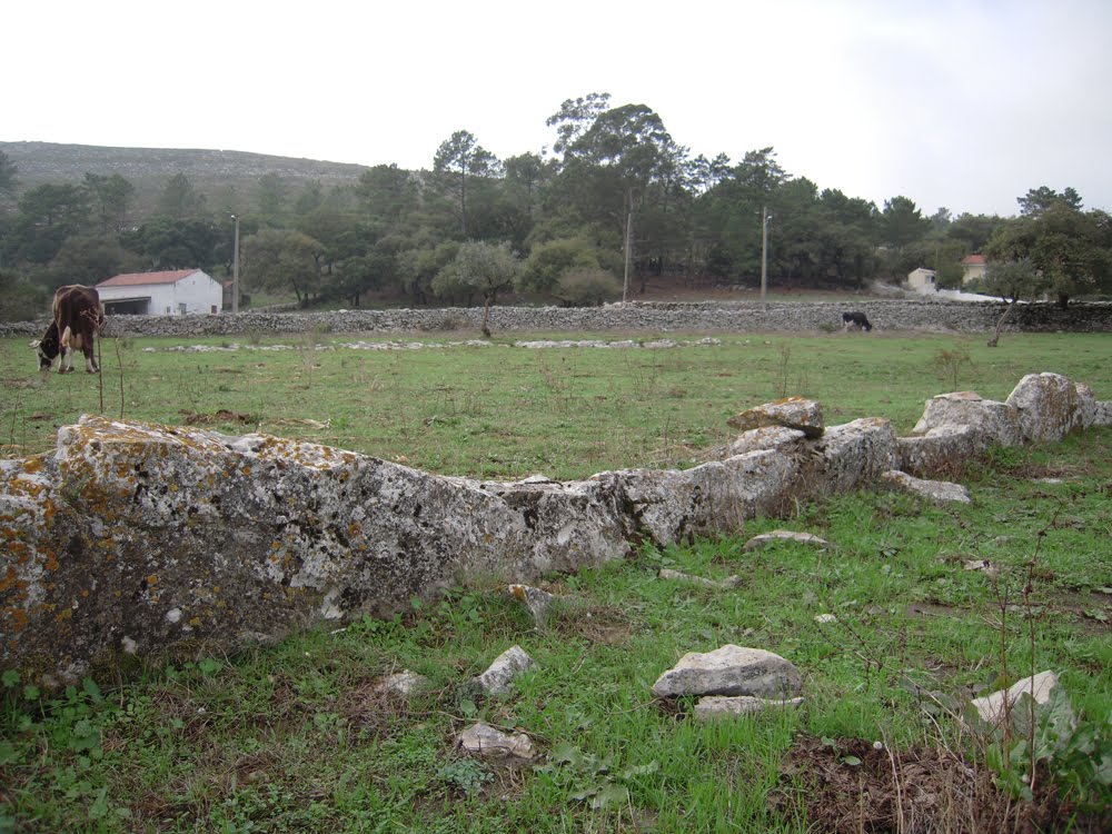 [DSCN1026.jpg]