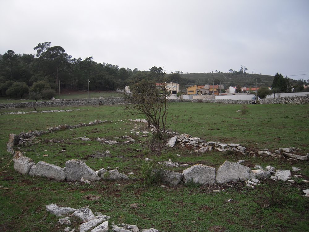 [DSCN1022.jpg]