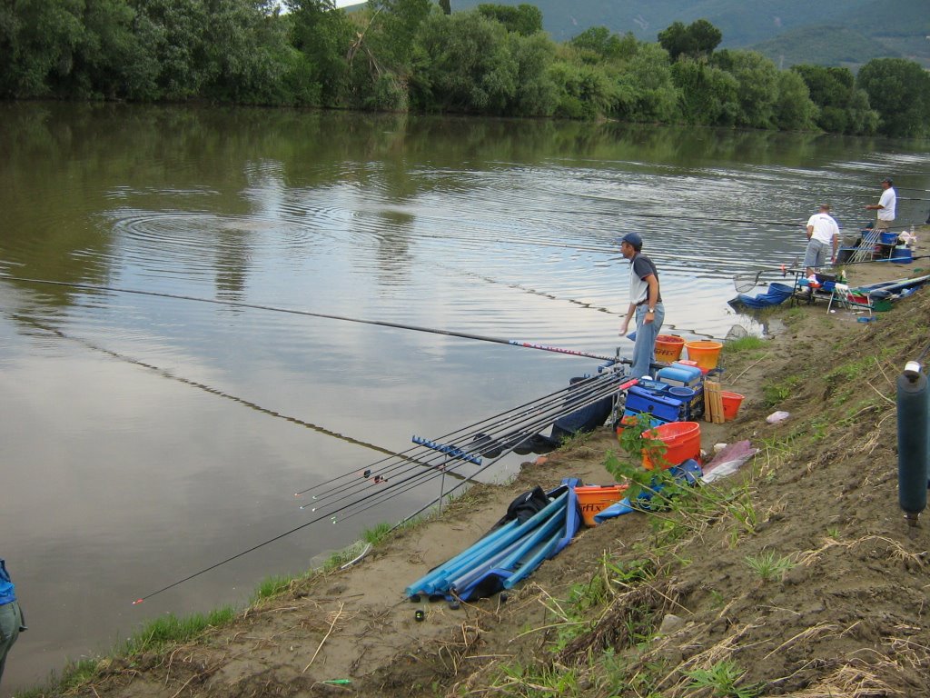 [arno+pisa+2-6-09+075.jpg]