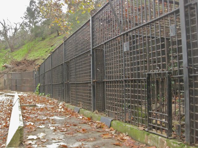 Cat+Cages+Old+LA+zoo+2010.jpg