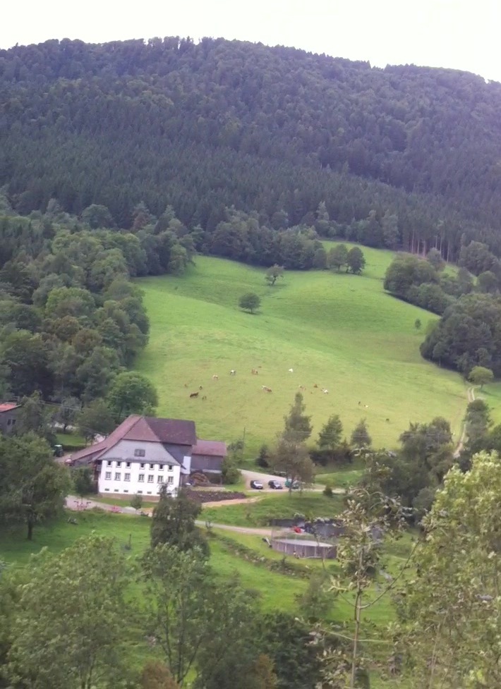 500 Reasons I Love Germany 5 Reason I Love Germany Farm Houses in the Black Forest