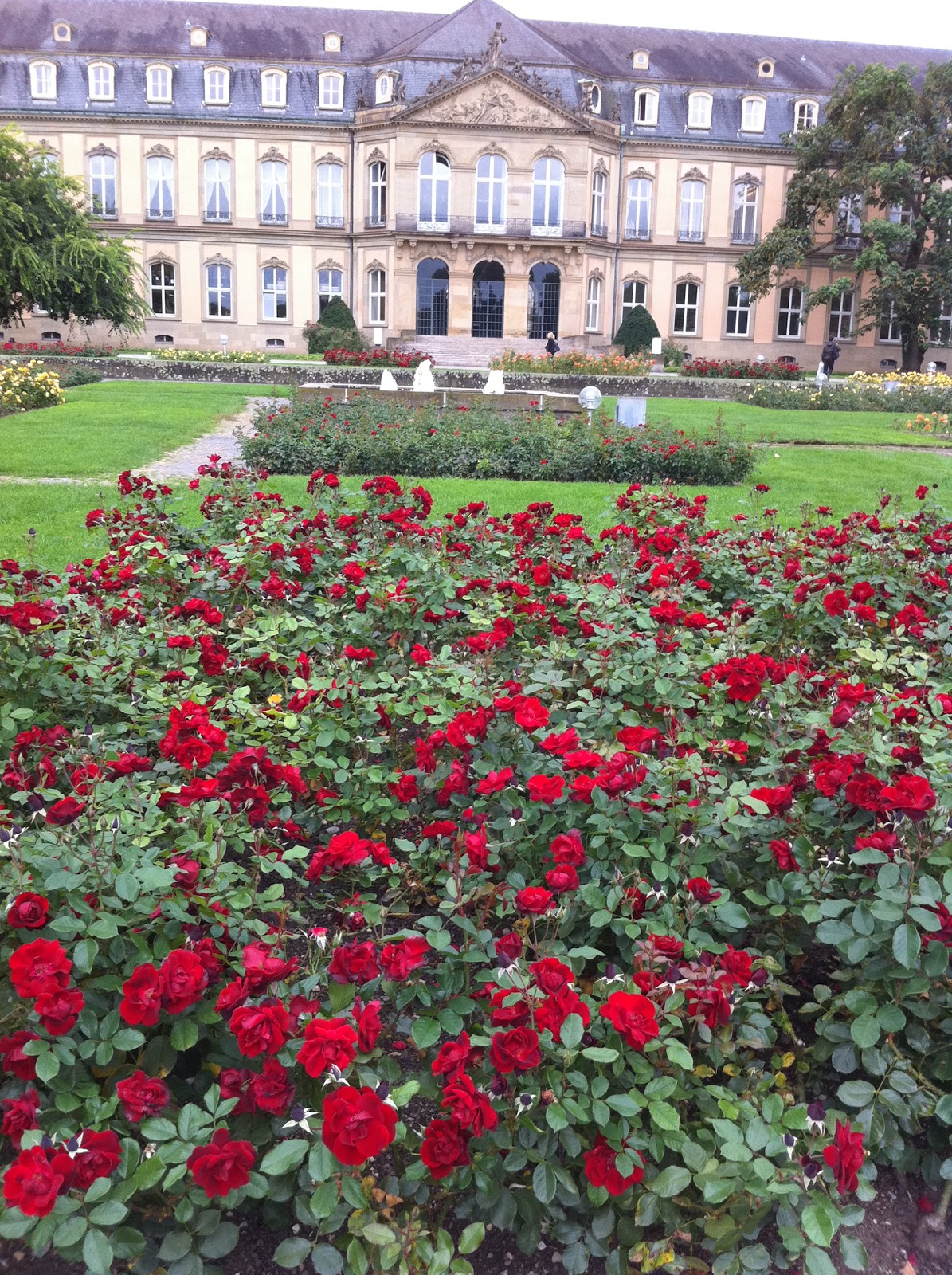 500 Reasons I Love Germany Reason 15 Why I Love Germany The Rose