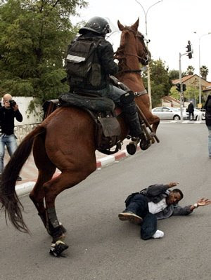 Horses Angry