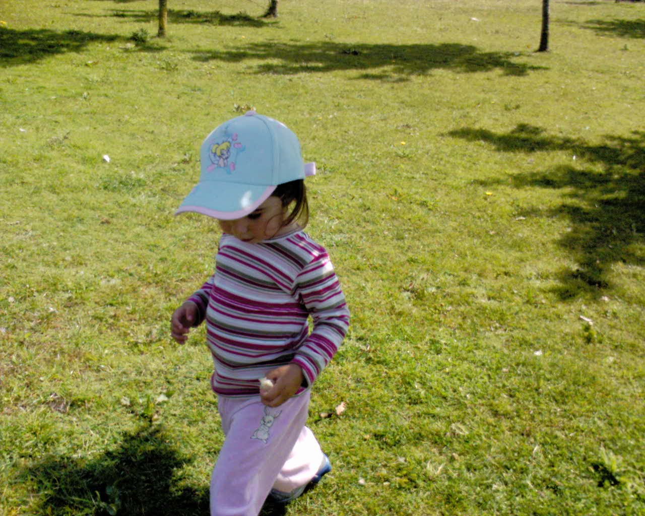 [DSC00060.JPG]