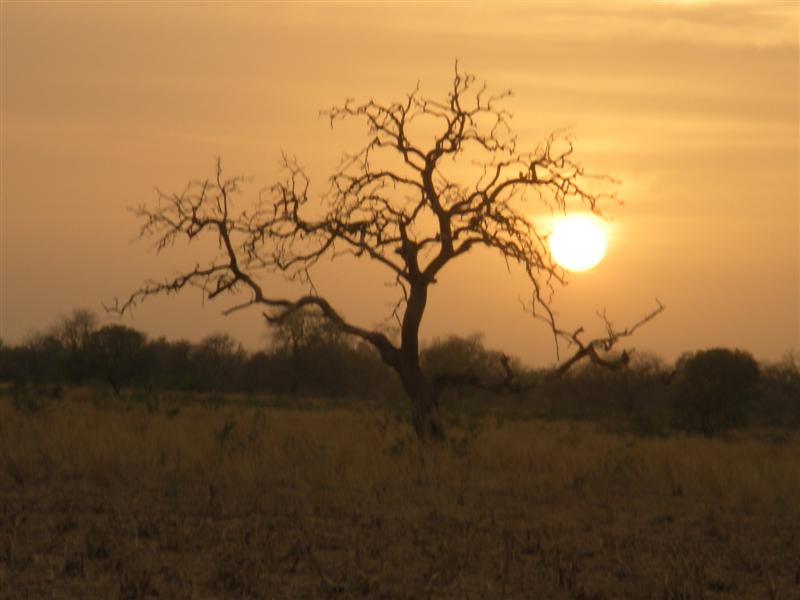 Making a "Mark" in Gambia