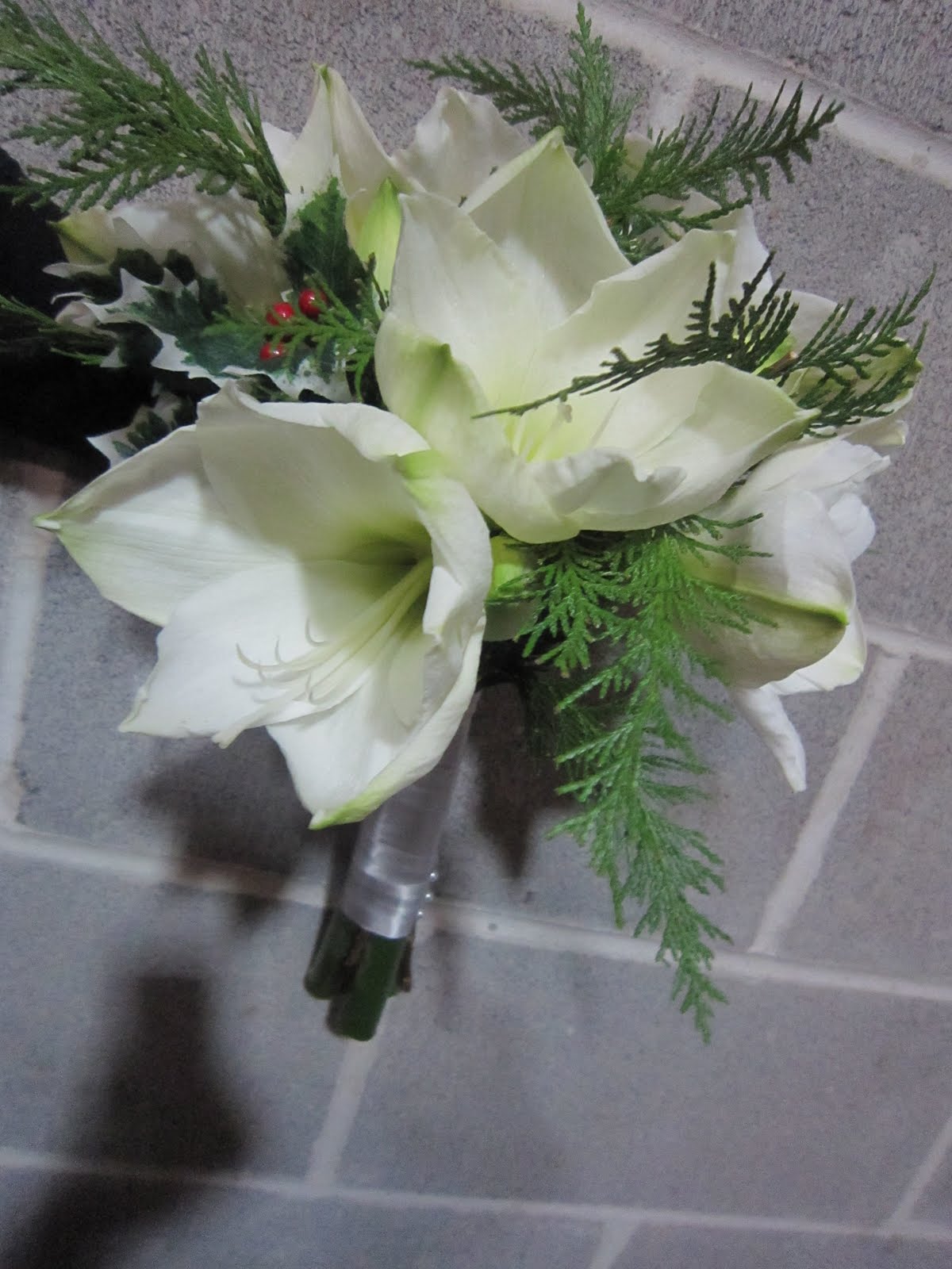 Awesome Amaryllis Sisters Floral Design Studio