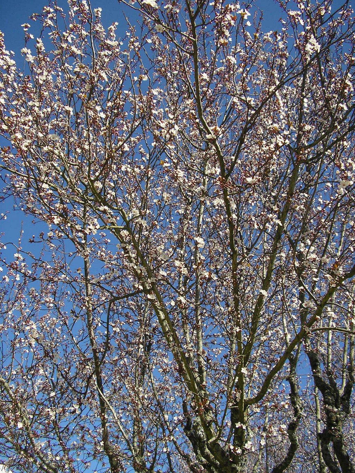 [P3100207.JPG]