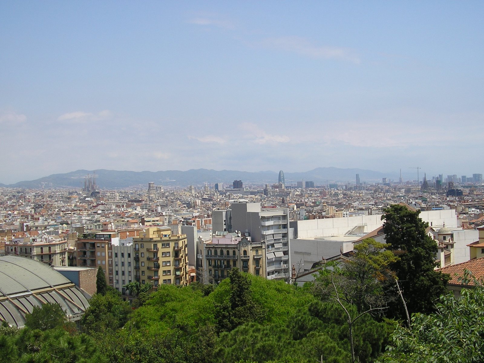[P6070686.JPG]