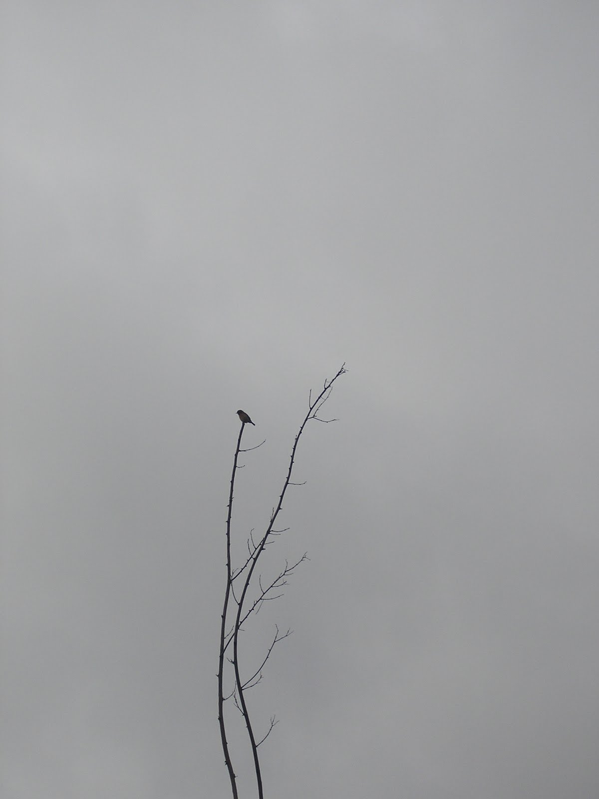 [P9180057.JPG]
