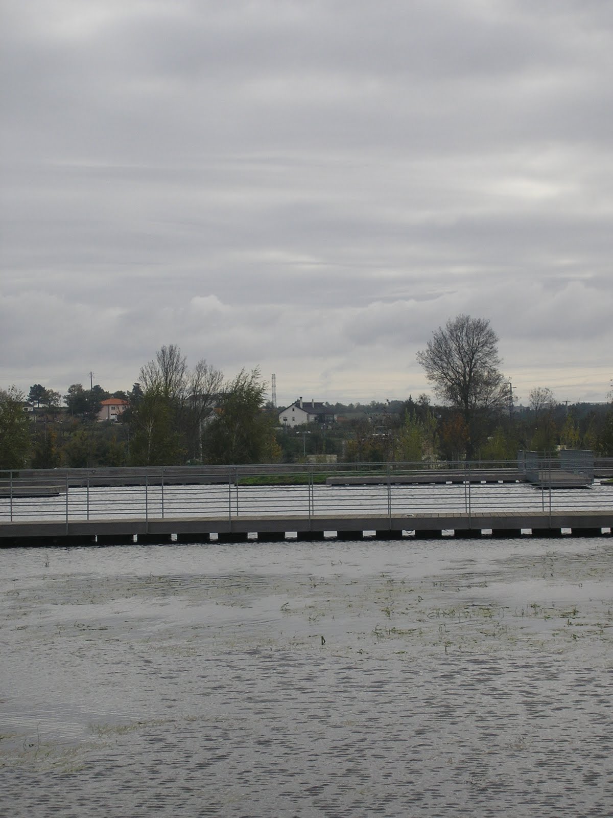 [PB090016.JPG]