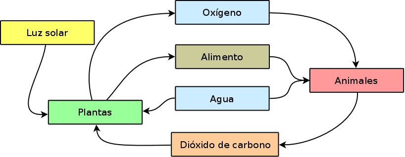[eco.bmp]