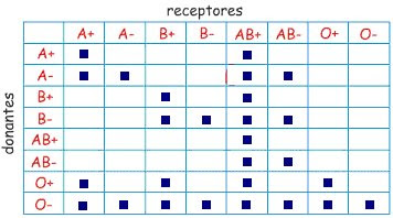 Compatibilidades sanguíneas