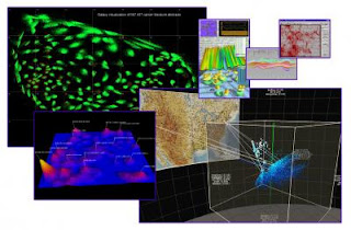 Caption: Scatter plots, 2-D shapes, rotatable 3-D clouds, animation -- these and other techniques are being explored to help analysts see clues in mountains of 'fuzzy' data. Credit: DHS S&T, Usage Restrictions: None.
