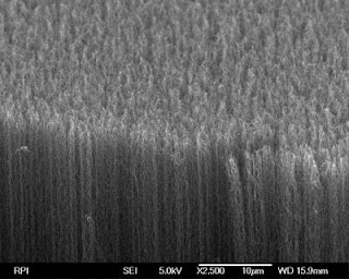 SEM of Darkest Manmade Material