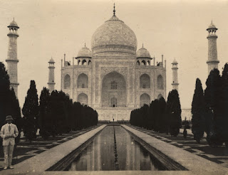 The Taj Mahal, National Library of Medicine's (NLM) Profiles in Science , 