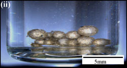 nano oil drops