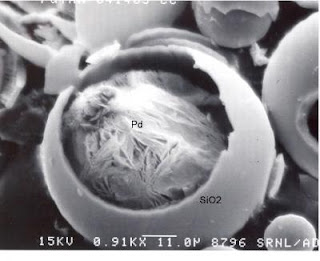 A Microballoon and its Contents