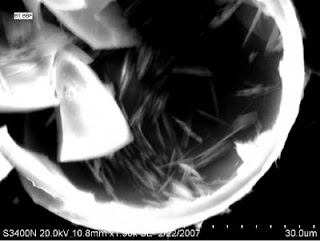 hollow glass microspheres