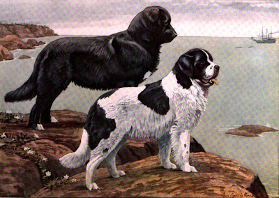 Masai People And The Serengeti Side Effects Steroid Usage In Athletes