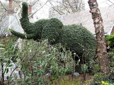 Topiary Elephant