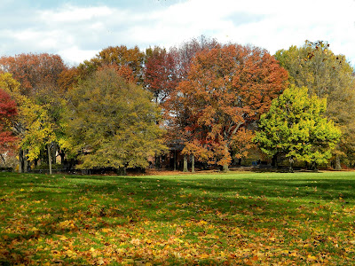 Autumn Colors Central Park New York City