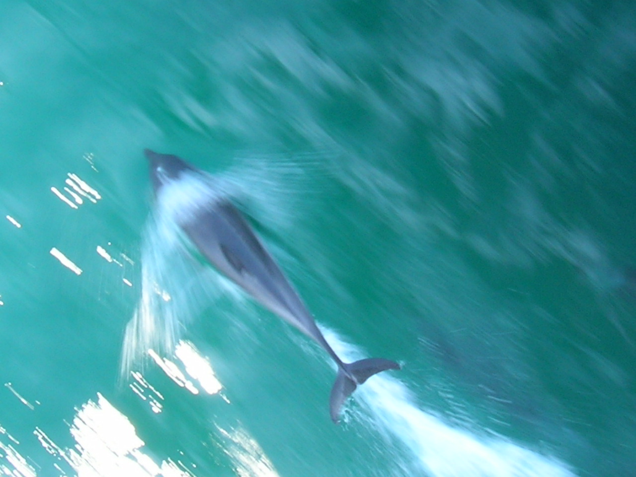 [TTR15-Sea&Sun_105.JPG]