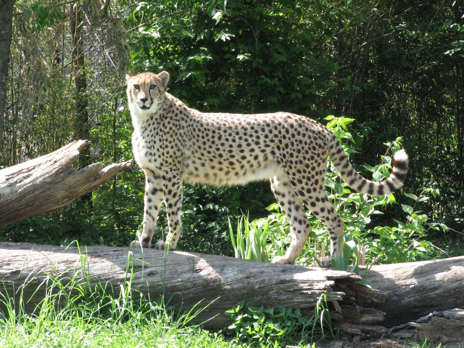 [Zoo+038.jpg]