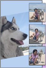 My Photo