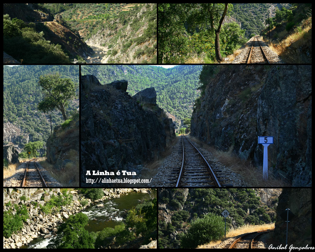 [alinha07.jpg]