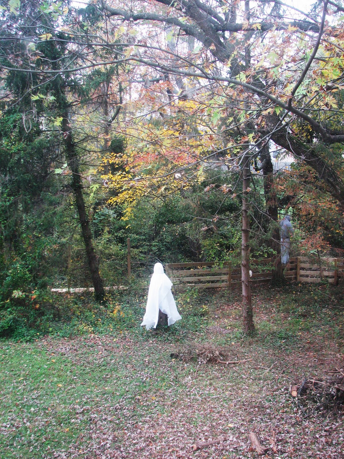 [halloween+004.JPG]
