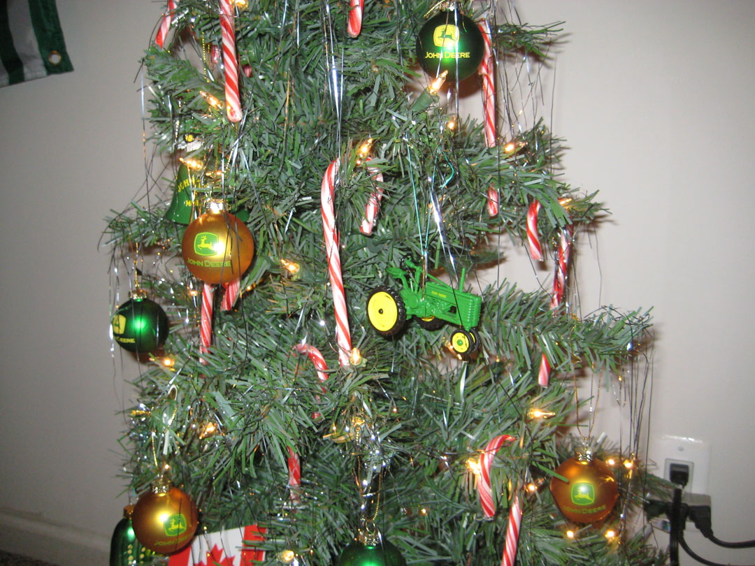 [tree05.jpg]