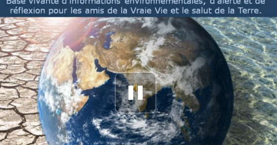 Rencontre ecologie die 2016
