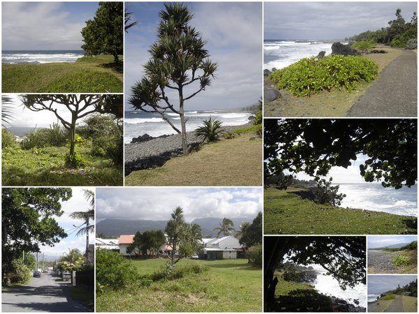 Bord de mer de St Benoit