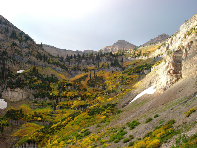 Fall at Mnt. Timp