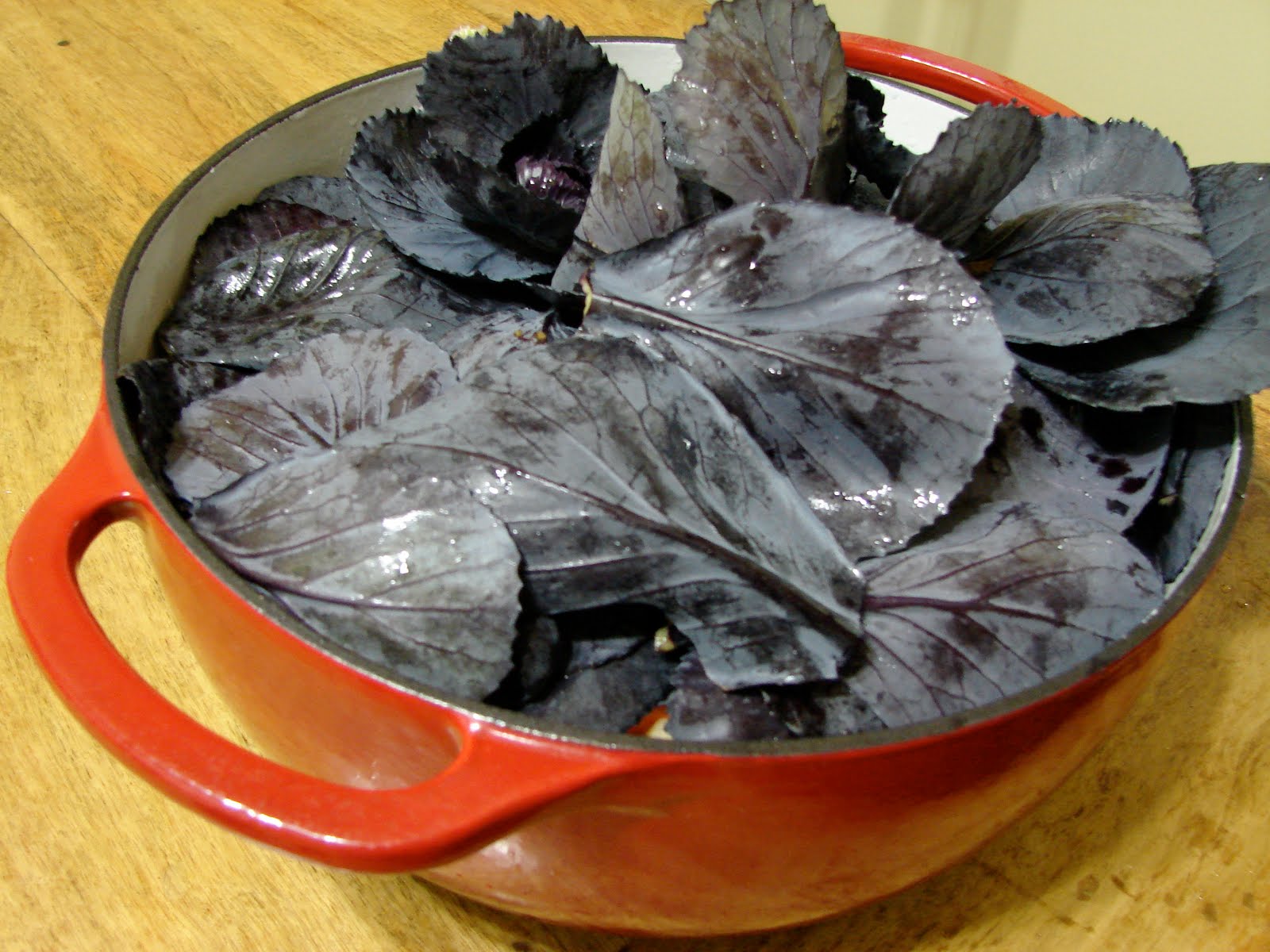 [DSC01969.JPG]