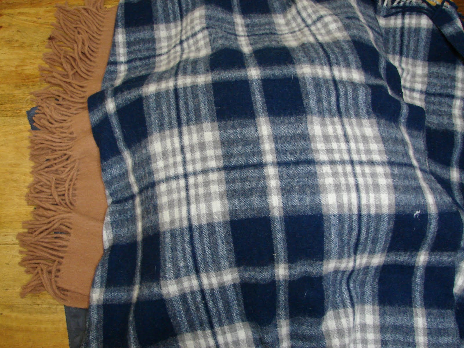 [DSC09681.JPG]