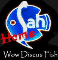 Wow Discus Home