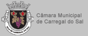 [gra_brasaoCMCS.gif]