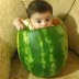 Video Bayi Lucu Makan Semangka, Ngakak Pol !