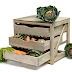 Fruit And Vegetable Storage