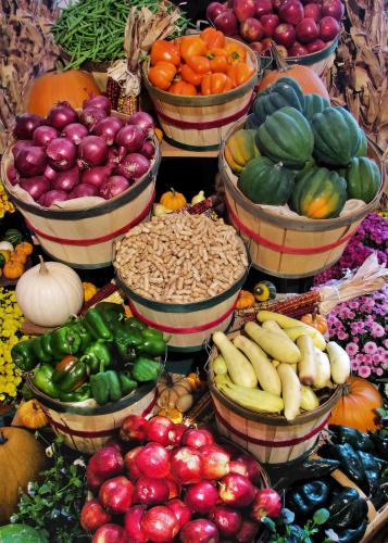 DIMA SHARIF: Understanding Fruits & Vegetables - Part 2