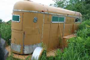 [Inline+mustard+yellow.jpg]