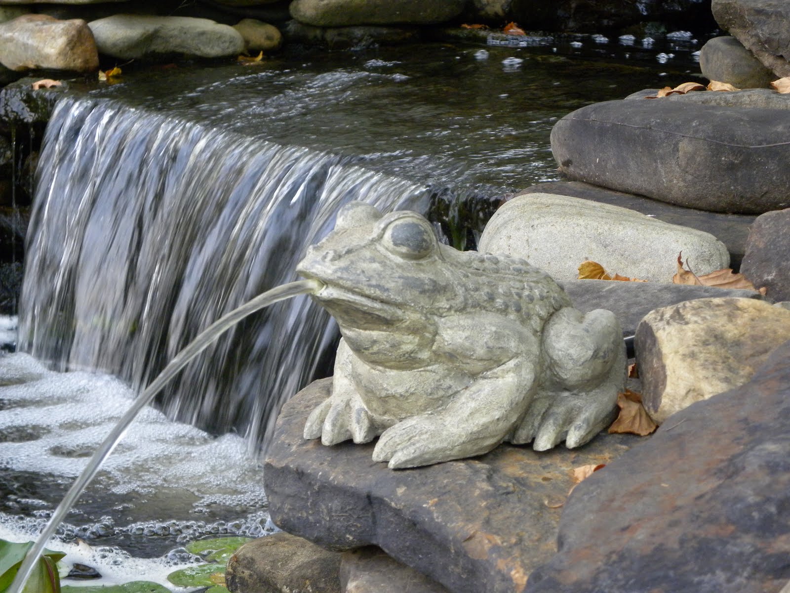 koi-pond-water-monitoring-system4.jpg