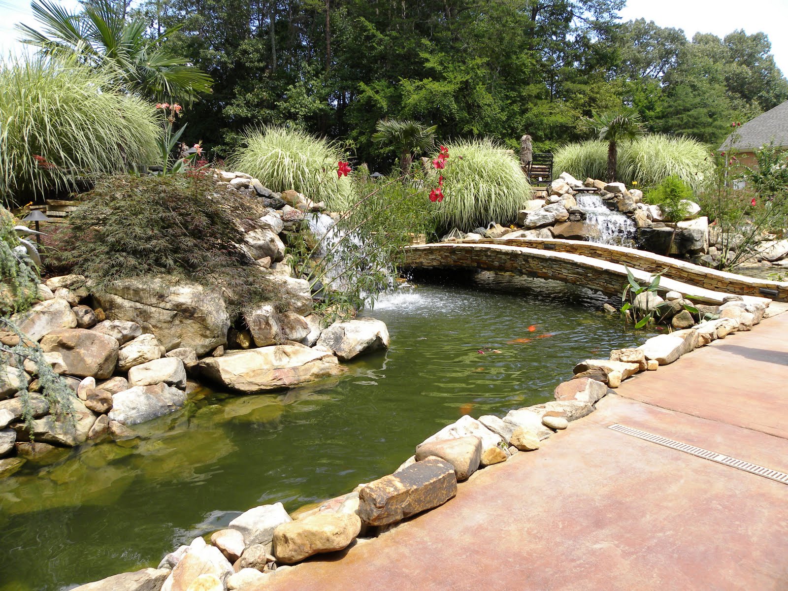 hdb-koi-pond-2.jpg