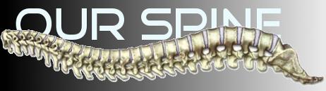Our Spine