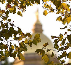 WE LIVE IN THE SHADOW OF THE GOLDEN DOME