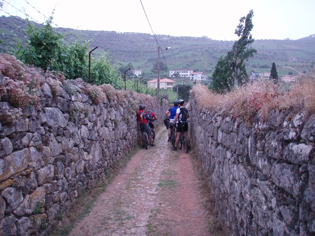 [P6150374.jpg]