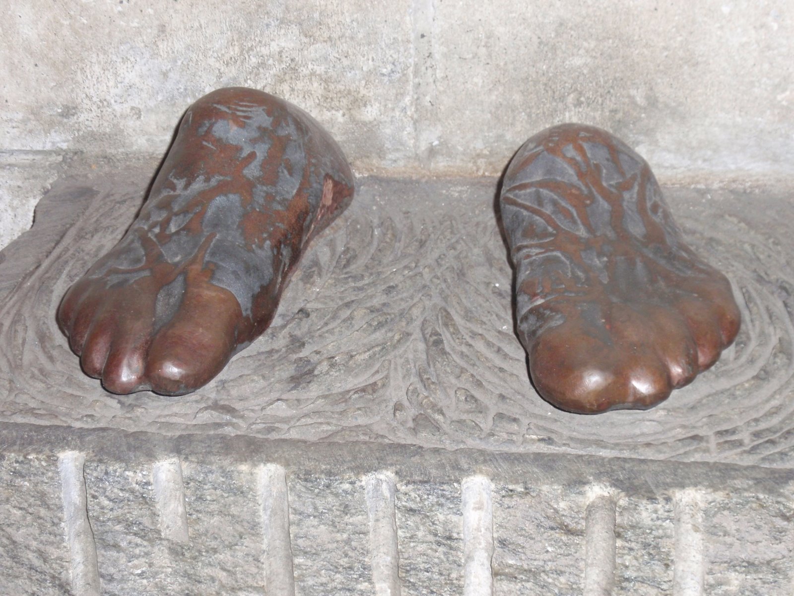 [P6210062.JPG]