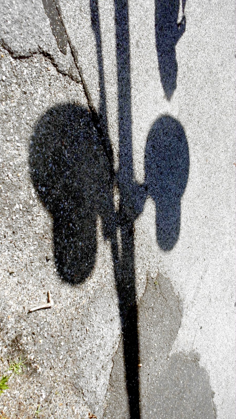 [P7080005.JPG]